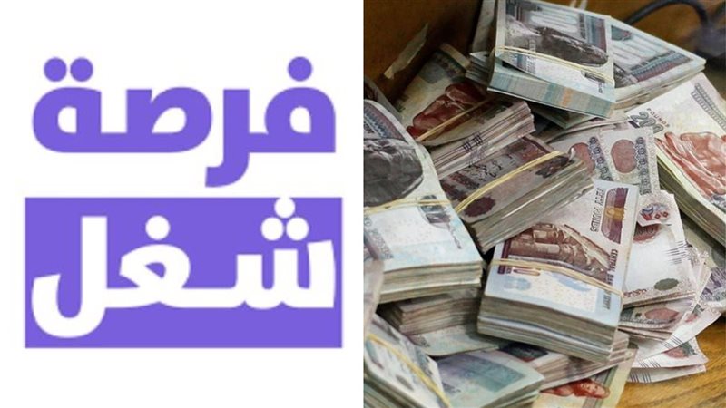 وظائف خالية في هذا