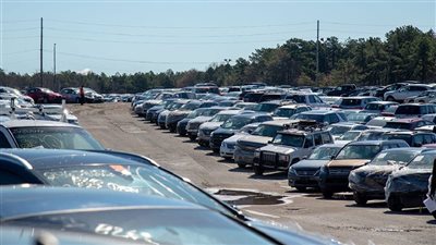 بأسعار زمان .. مزاد حكومي لبيع سيارات بماركات وموديلات متنوعة 