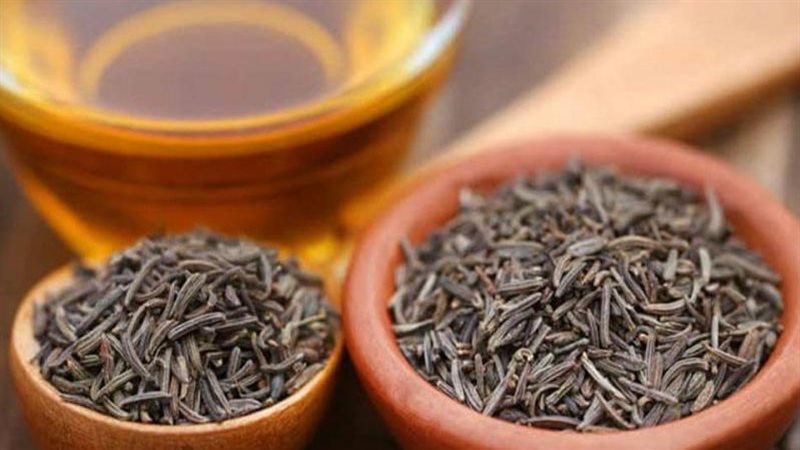 فوائد شرب مشروب الكراوية