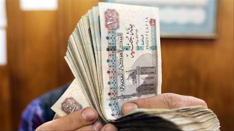 موعد إضافة المستفيدين
