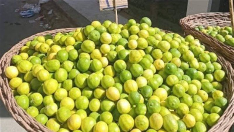 أسعار الليمون