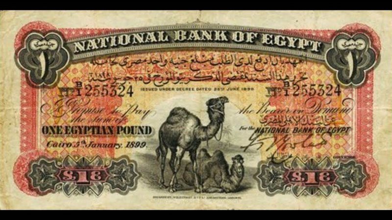 الجنيه أبو جملين
