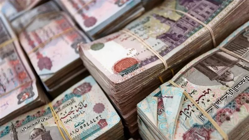 أفضل استثمار 2025..