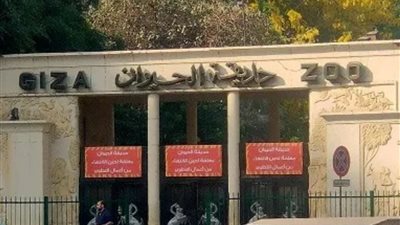 موعد افتتاح حديقة الحيوان بالجيزة .. مدير الحديقة يفجّر مفاجآت مذهلة 