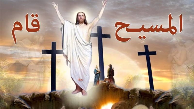 الحزب الليبرالي المصري