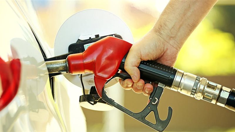 التوقعات المستقبلية