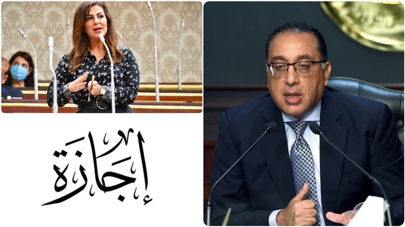 النائبة دينا عبدالكريم: