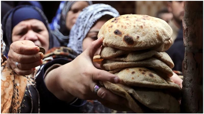 تطبيق المنظومة الجديدة