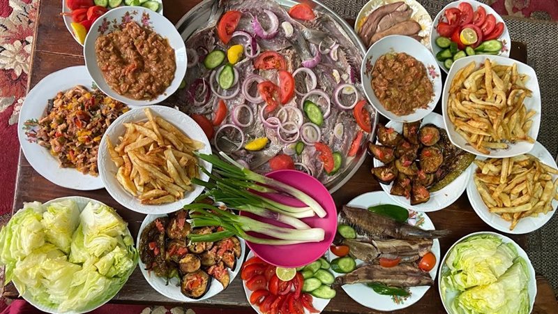 4 فئات مهددة بالخطر