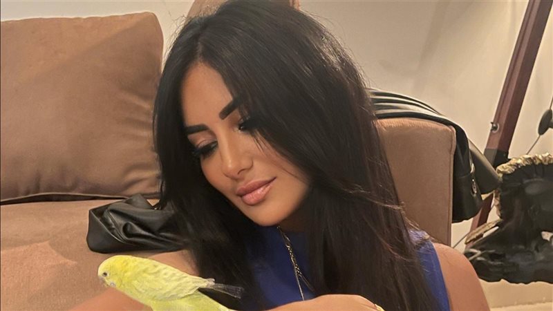 منة قطب