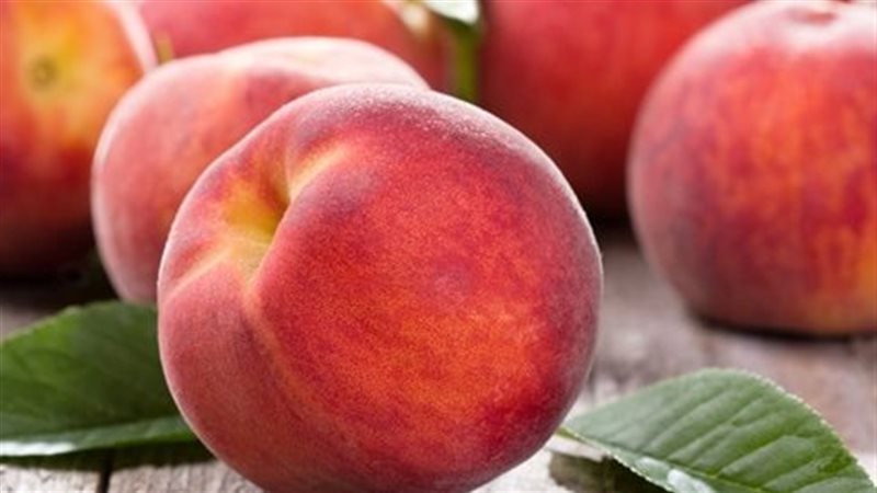 أهم الفوائد الصحية