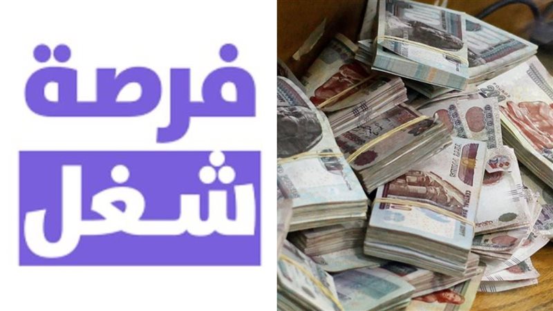 فرص عمل