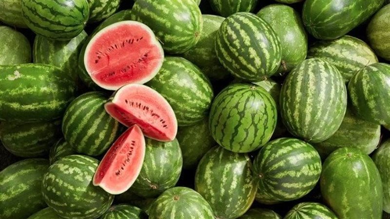 فوائد البطيخ للمعدة