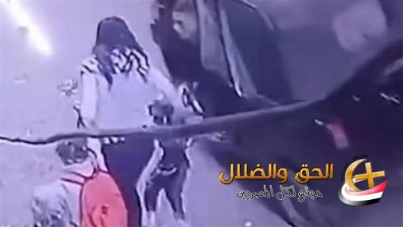 توكتوك الوراق