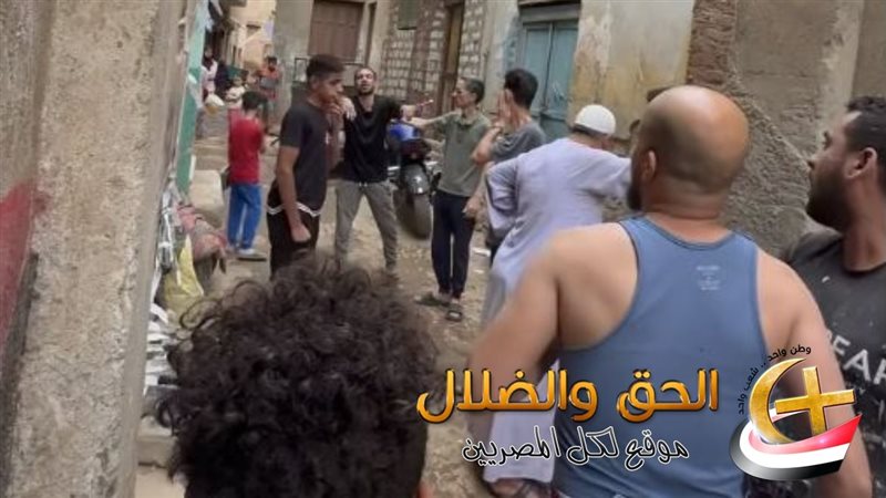 قطط أسيوط والحق والضلال