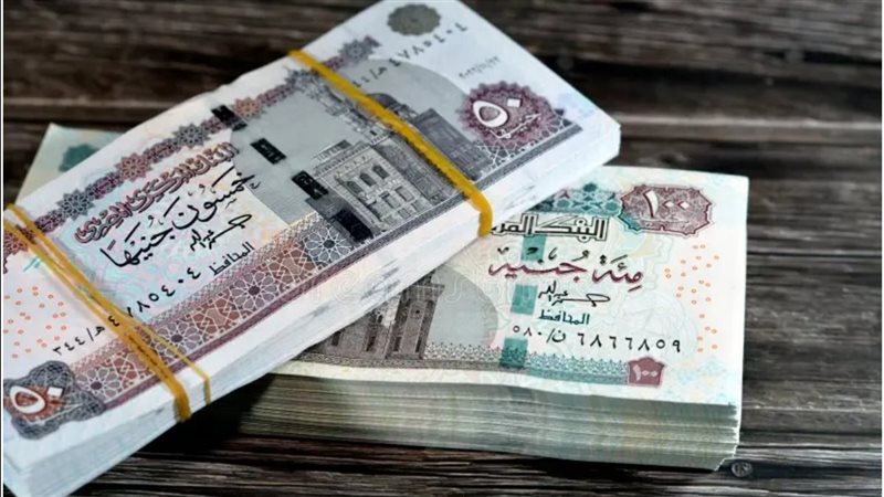 شهادة “ابن مصر” من