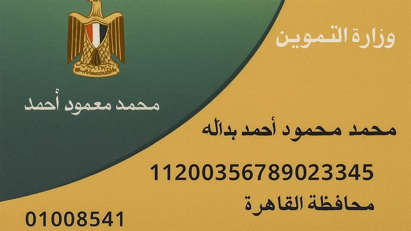 الفئات المسموح لها