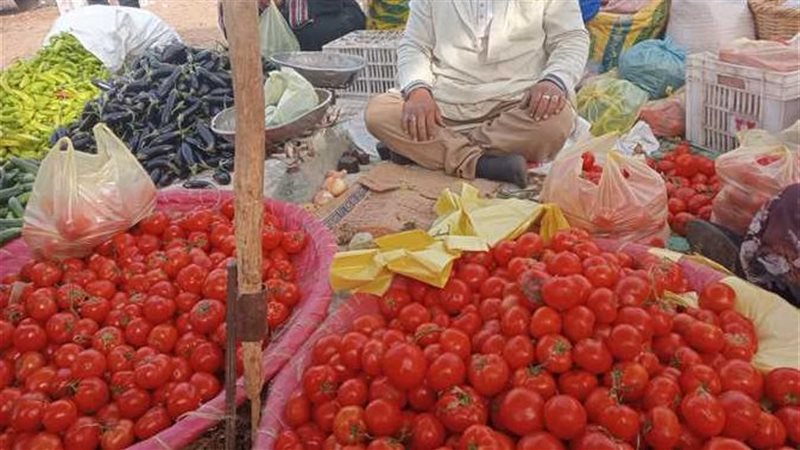 أسعار الخضروات اليوم