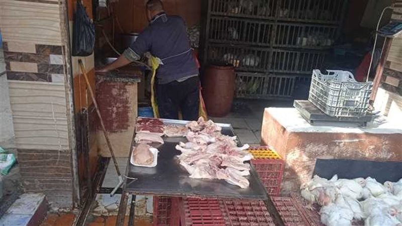 سعر الدجاج البلدي