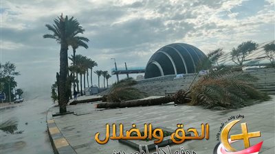 مستقبل غامض ومرعب ينتظره سكان الاسكندرية…بعد العاصفة اعرف حقيقة تكرارها مرة أخرى وسر التغير المناخي الذي يهدد عروس المتوسط