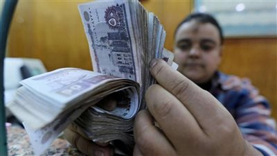 معاشات نوفمبر 