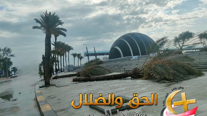 سيول الإسكندرية