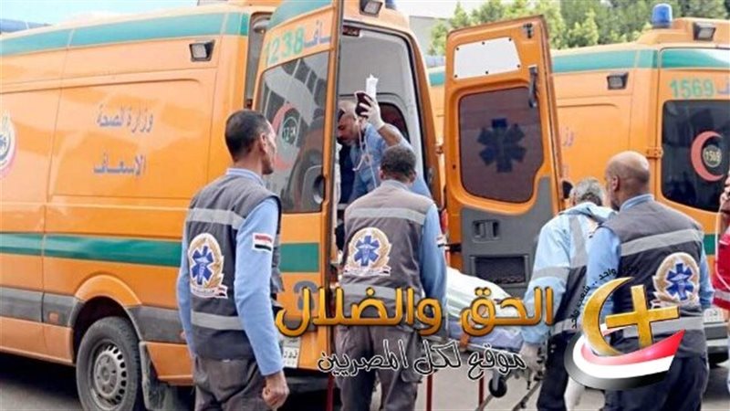 حفل زفاف المنيا