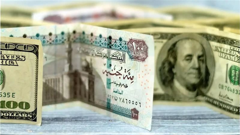 سعر الدولار اليوم