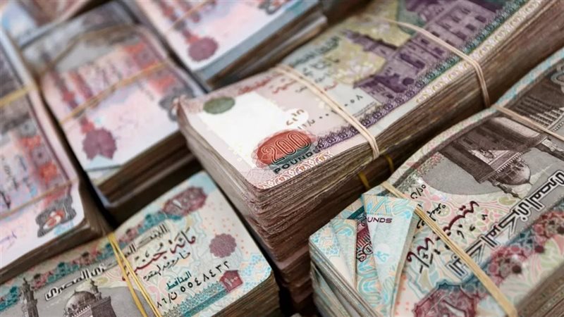 قرض بنك ناصر الاجتماعي