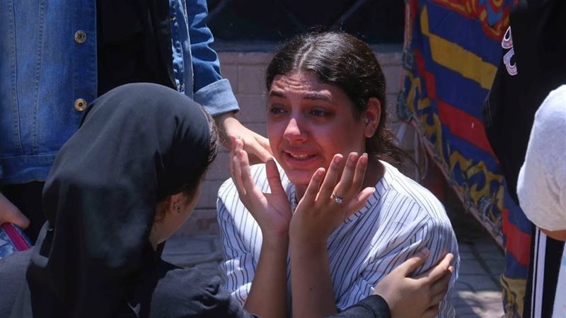 جمع كلمة بقدونس |
