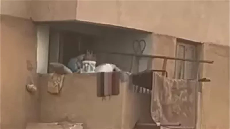 تصريحات أسرة طفل