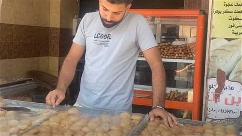 فتيات المنوفية