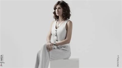 ما علاقة أمينة شلباية بالمتهمة؟… تفاصيل جديدة في قضية فيلا الإعلامية الشهيرة