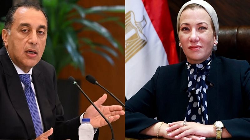 أسباب استقالة وزيرة