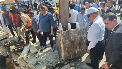 عودة الكهرباء بالكامل في الجيزة بعد إصلاح كابل محطة جزيرة الدهب.. خطة عاجلة لمنع انقطاع التيار مجددًا