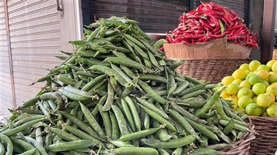 أسعار الخضروات والفواكه اليوم الاثنين 4/8/2025 بسوق العبور بعد وصول سعر العنب لـ28 والطماطم لـ6 جنية