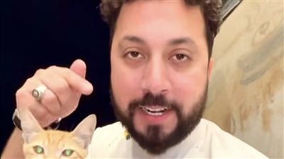 محمد حلمي يرد على منتقديه بعد مطالبات بوقف إطعام القطط والكلاب في الشوارع