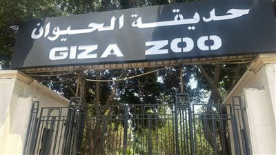 حديقة الحيوان.. تطوير شامل وتجديد للحيوانات قبل نهاية 2025 ووزارة الزراعة تنفي أسعار التذاكر المتداولة