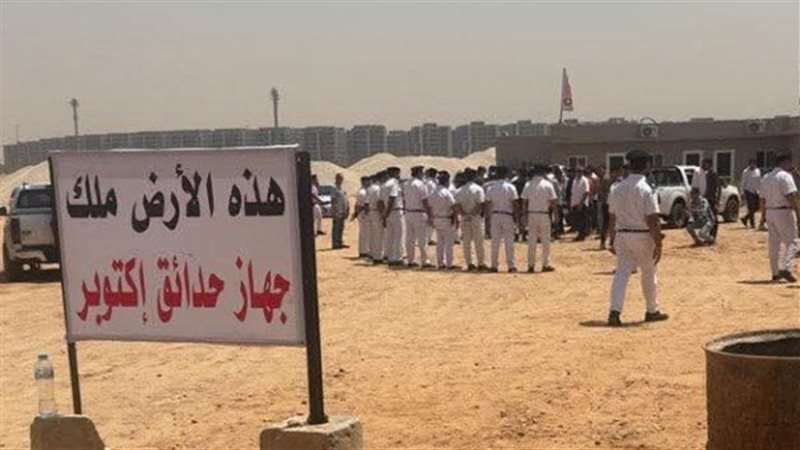 طلب المستشار مرتضى