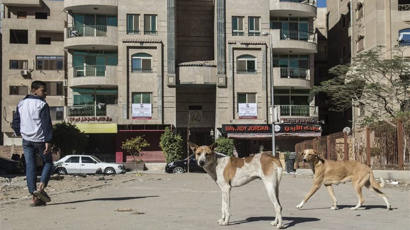 النيابة العامة وبيان