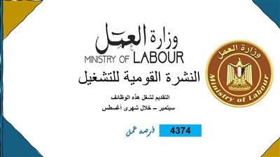 وظائف وزارة العمل: فرص عمل شاغرة لمختلف المؤهلات والتخصصات ومرتبات وفقا للحد الأدنى للاجور