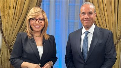 وزير الخارجية يوضح الجهود المصرية لوقف إطلاق النار في القطاع 