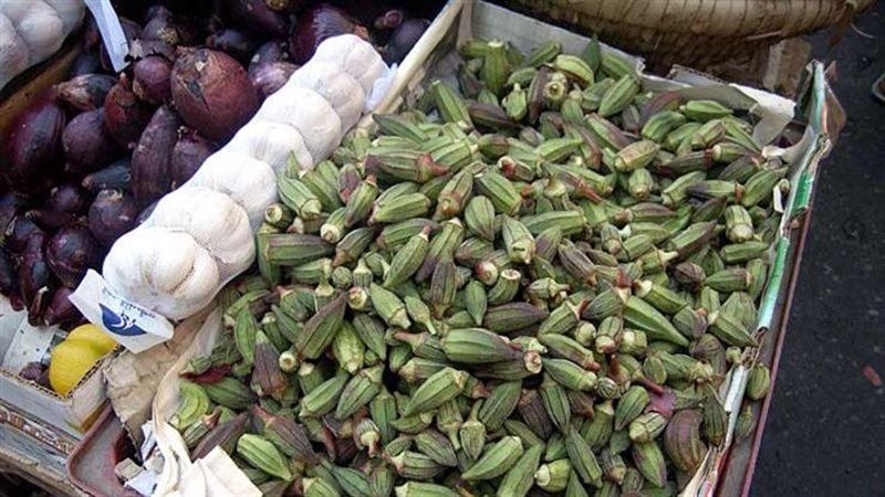أسعار الخضراوات اليوم