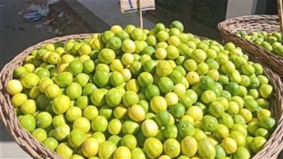 أسعار الخضروات والفاكهة اليوم الثلاثاء 23 سبتمبر 2025 الليمون البلدي يسجل 20 جنيه والطماطم 15