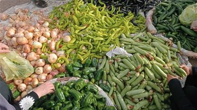 أسعار الخضروات والفاكهة اليوم اليوم الخميس 25 سبتمبر 2025 الفاصوليا  تسجل 40 جنيه والبرتقال البلدي 9