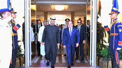 لقاء ثنائي بين الرئيس السيسي ونظيره الإماراتي يتناول الاستثمار وترحيب بمباردة ترامب بشأن غزة