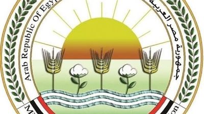 وزارة الزراعة: دعوات الامتناع عن إطعام الكلاب الضالة  سلوك مخالف للشرع والقانون