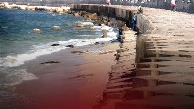 انحسار مياه البحر بمحطة الرمل بالإسكندرية بسبب المد والجزر والضغط الجوي