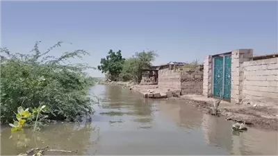 محافظه الغربيه تعلن حاله الطوارئ بعد ارتفاع منسوب المياه  وتحذر سكان ف الزيات وبسيون