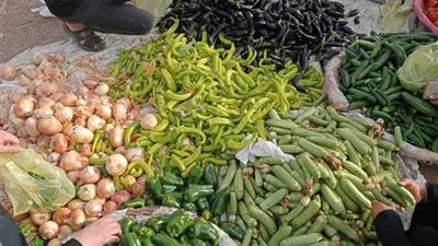 أسعار الخضراوات والفاكهة اليوم الثلاثاء 7 أكتوبر 2025 القلقاس يسجل 12 جنيها والتفاح المصري 38 جنيها